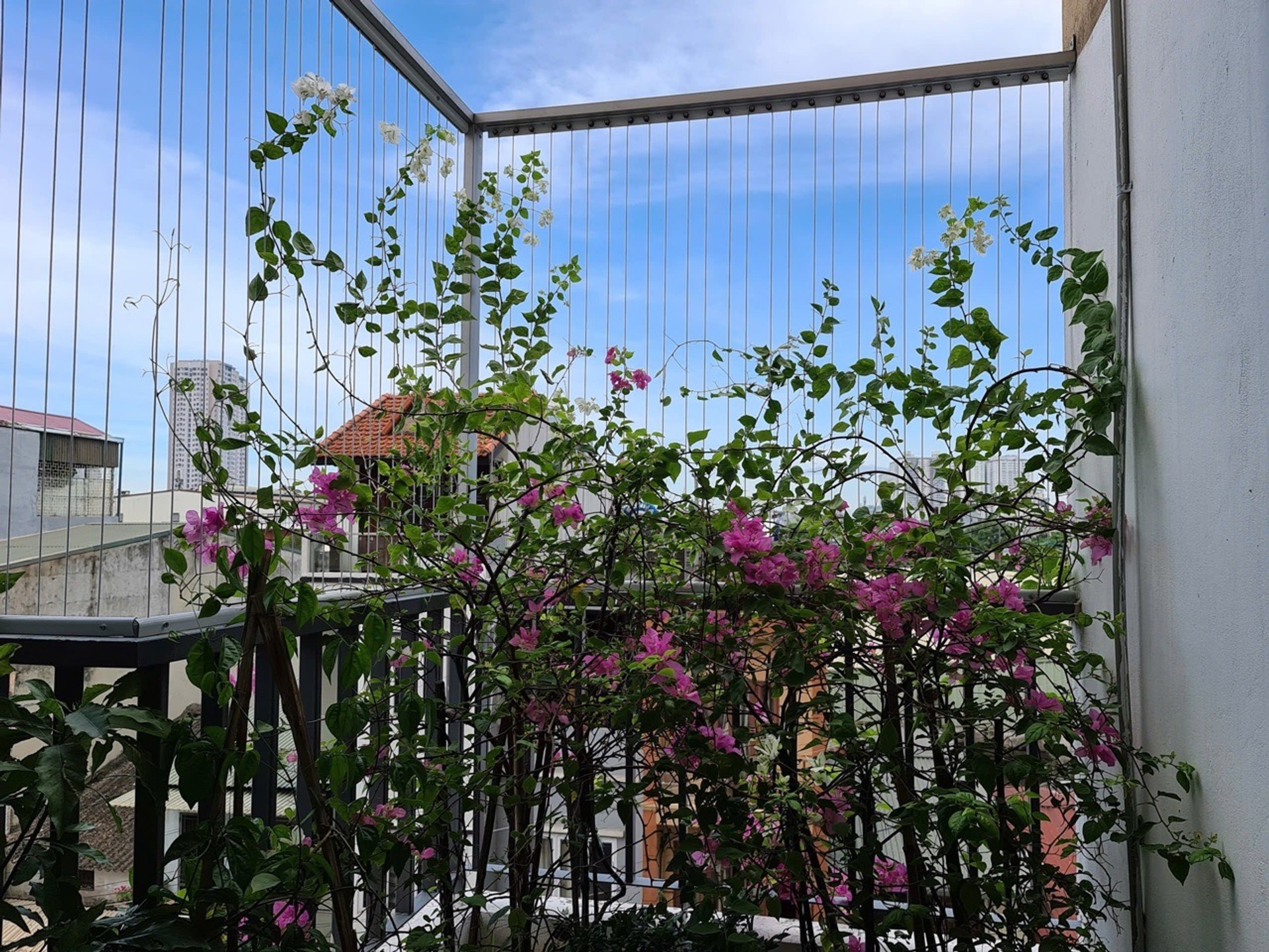 Bán nhà Trần Thủ Độ - diện tích 122m2 3 tầng - Căn hộ lô góc thoáng sáng - giá 7,9 tỷ