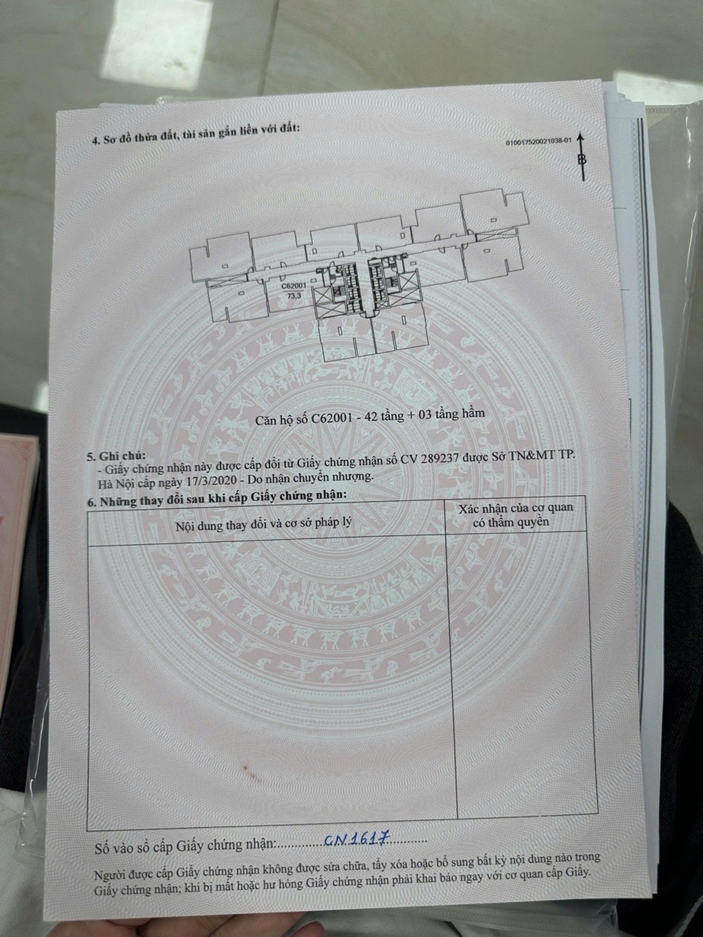 Ảnh đại diện