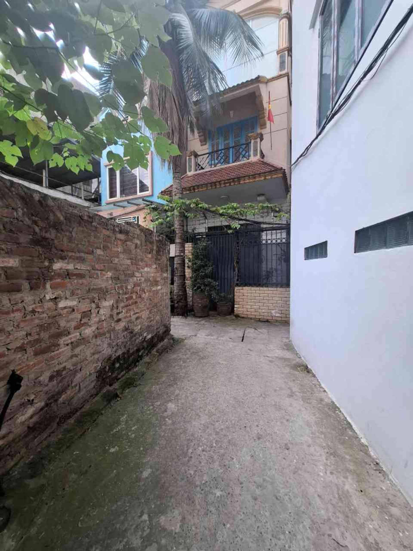 Ảnh đại diện
