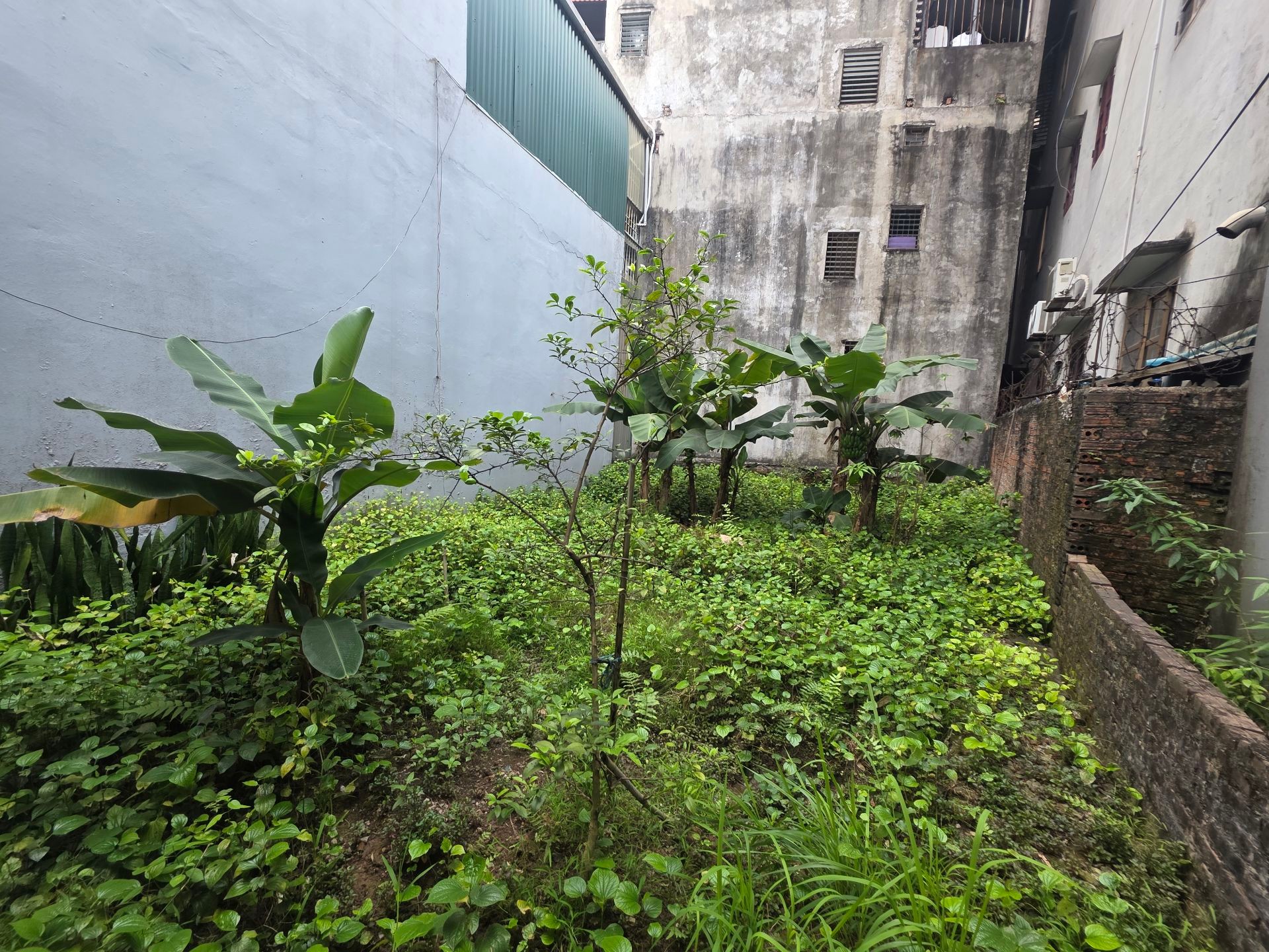 Bán nhà Trần Hòa - diện tích 90m2 0 tầng - Lô góc - giá 6,45 tỷ