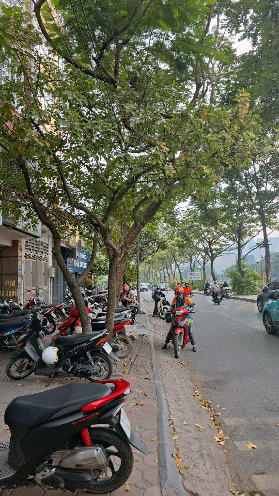 Bán nhà Vũ Tông Phan - diện tích 73m2 4 tầng - Ô tô kinh doanh - giá 25,3 tỷ