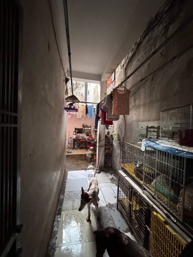 Bán nhà Trường Chinh - diện tích 98m2 4 tầng - Ngõ thông - giá 27,5 tỷ