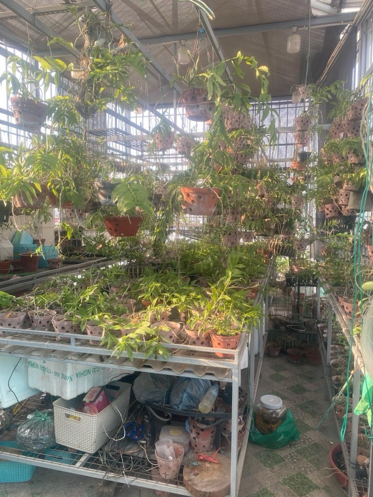 Bán nhà Đống Đa - diện tích 48m2 8 tầng - Lô góc, thang máy - giá 21,6 tỷ