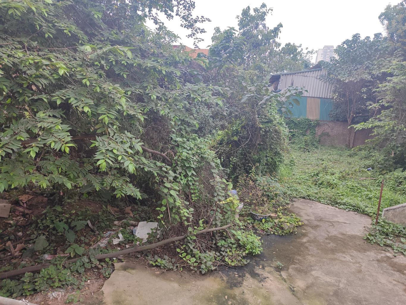 Bán nhà Nguyễn Khoái - diện tích 260m2 1 tầng - Mặt phố kinh doanh ô tô tránh - giá 32 tỷ