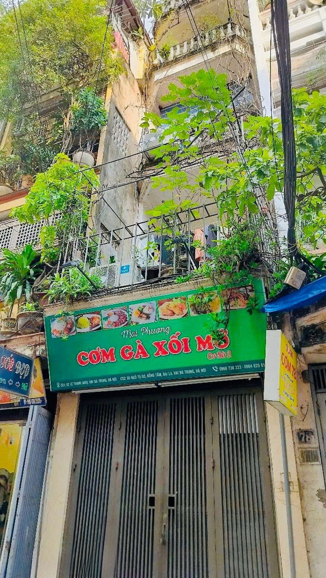 Ảnh đại diện
