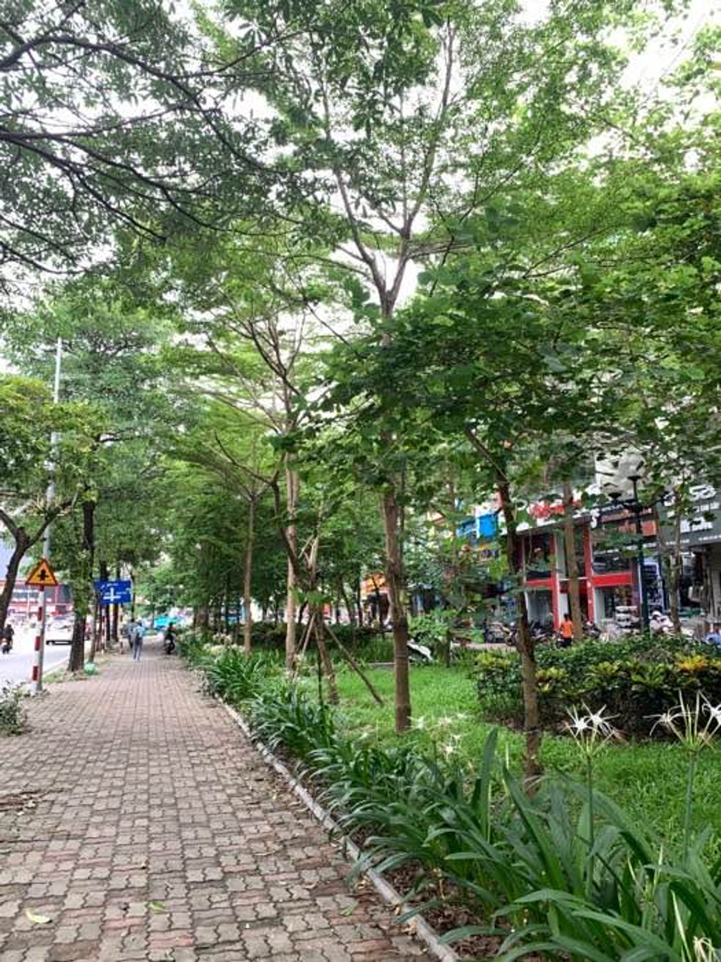 Bán nhà Thanh Nhàn - diện tích 118m2 5 tầng - Thoáng trước, sau - giá 50 tỷ