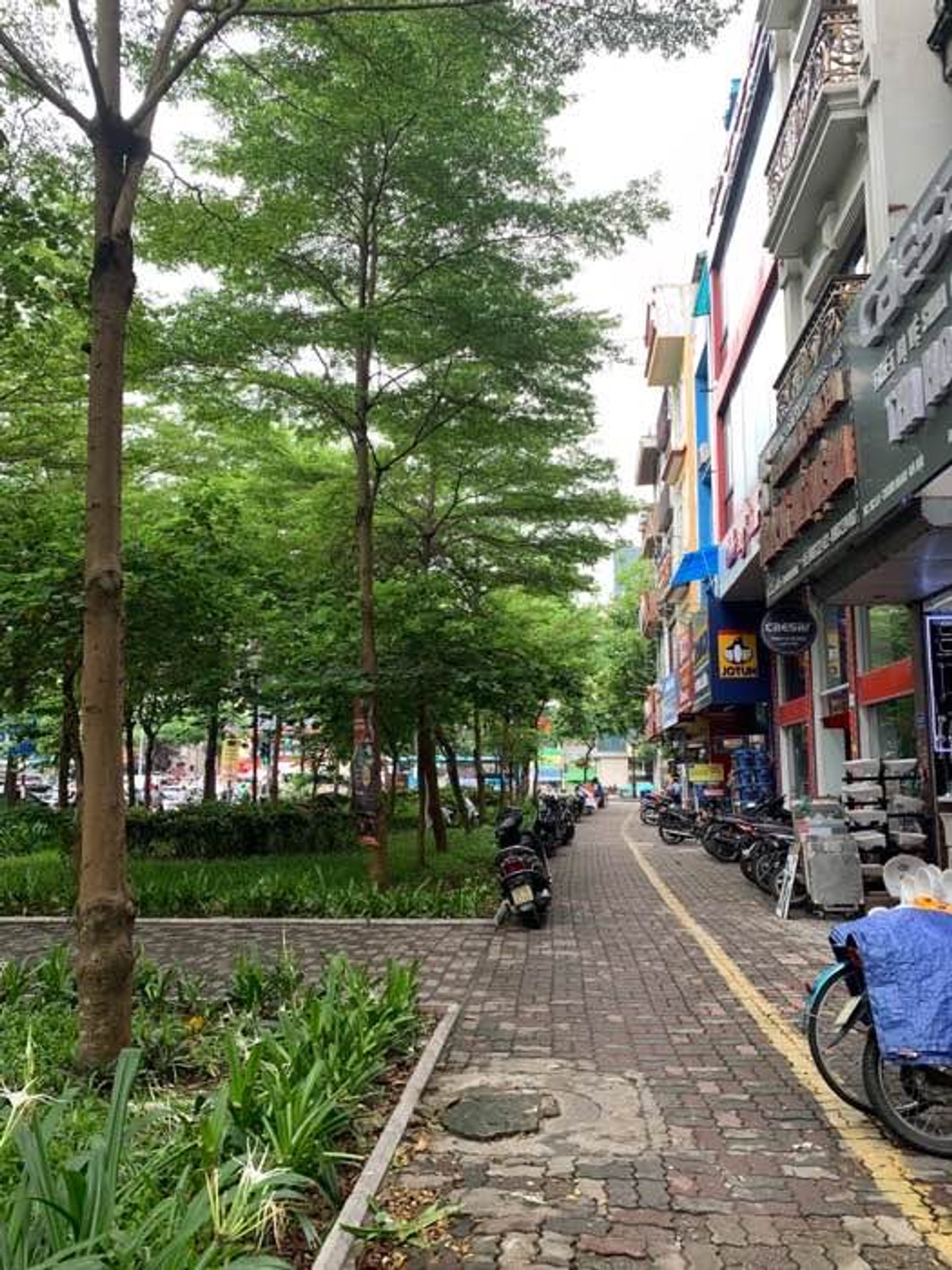 Bán nhà Thanh Nhàn - diện tích 118m2 5 tầng - Thoáng trước, sau - giá 50 tỷ