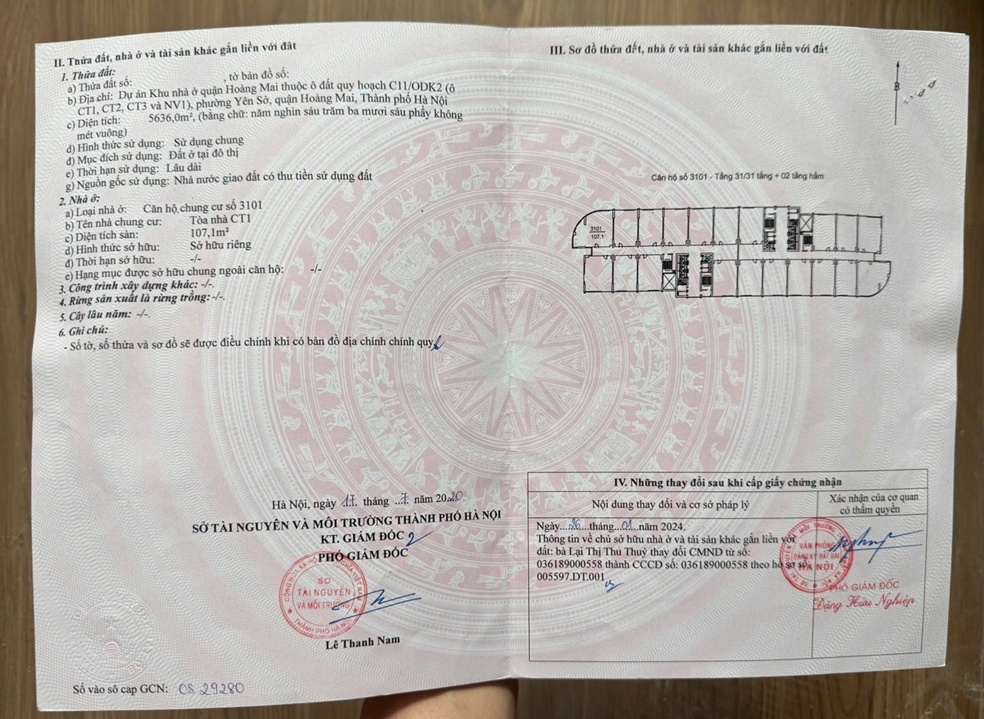 Ảnh đại diện