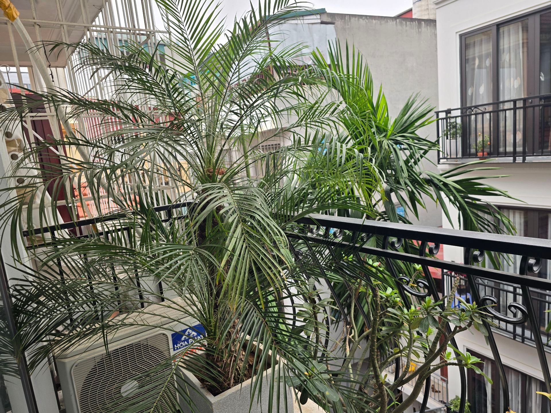 Bán nhà Nguyễn Chính - diện tích 59m2 5 tầng - Ô tô tránh - giá 21,95 tỷ