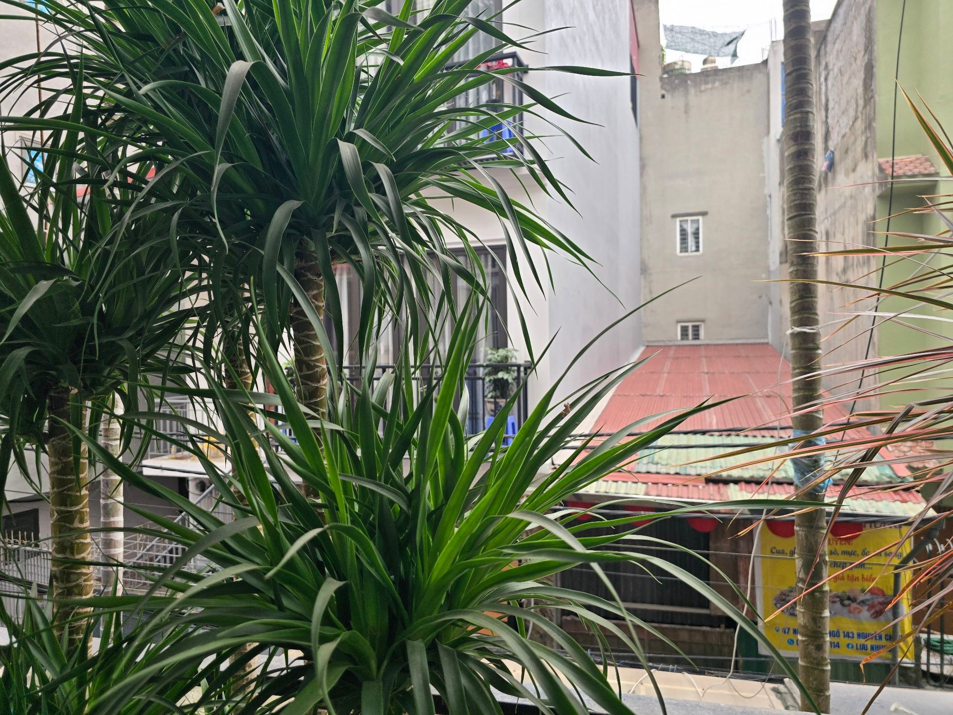 Bán nhà Nguyễn Chính - diện tích 59m2 5 tầng - Ô tô tránh - giá 21,95 tỷ