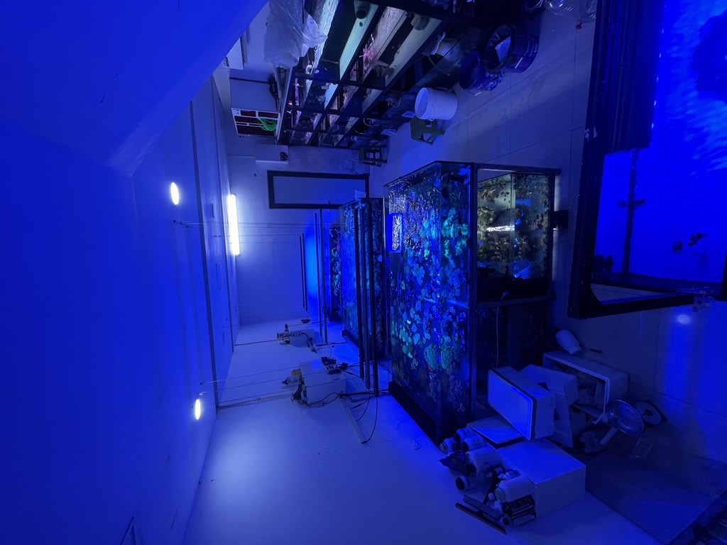 Bán nhà Vương Thừa Vũ - diện tích 87.4m2 3 tầng - Ô TÔ TẢI TRÁNH - giá 37,5 tỷ